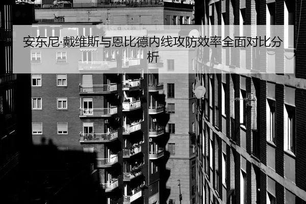安东尼·戴维斯与恩比德内线攻防效率全面对比分析