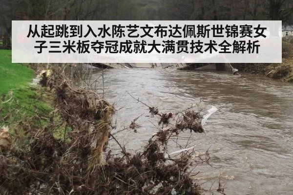 从起跳到入水陈艺文布达佩斯世锦赛女子三米板夺冠成就大满贯技术全解析