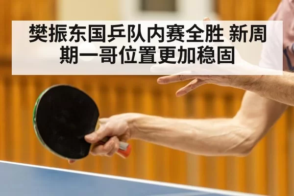 樊振东国乒队内赛全胜 新周期一哥位置更加稳固